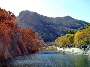 澳门二四六天天彩图库，宝宝爹地已再婚